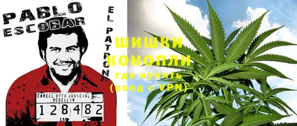 шишки Бронницы