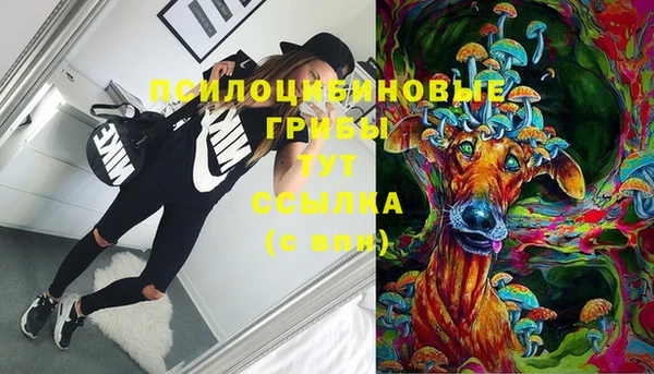 шишки Бронницы