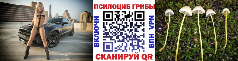 Псилоцибиновые грибы Psilocybine cubensis  Нерюнгри 